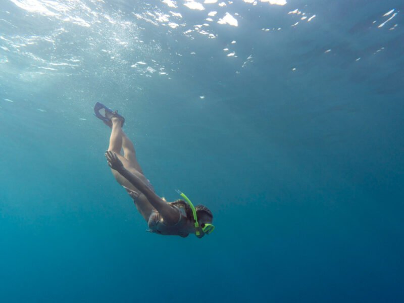 Snorkeling and Free Diving Basics