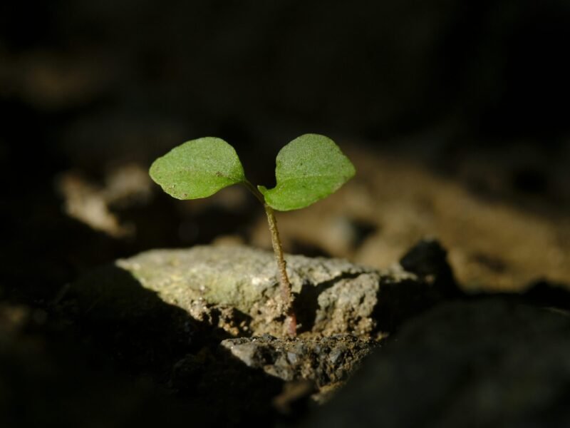 Mastering Positive Inner Dialogue