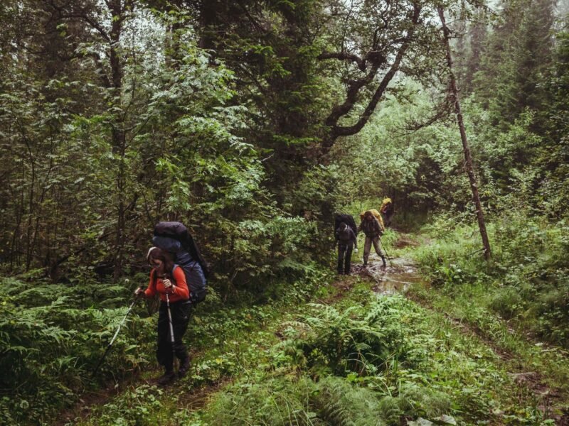 Avoiding Common Hiking Injuries and Blisters