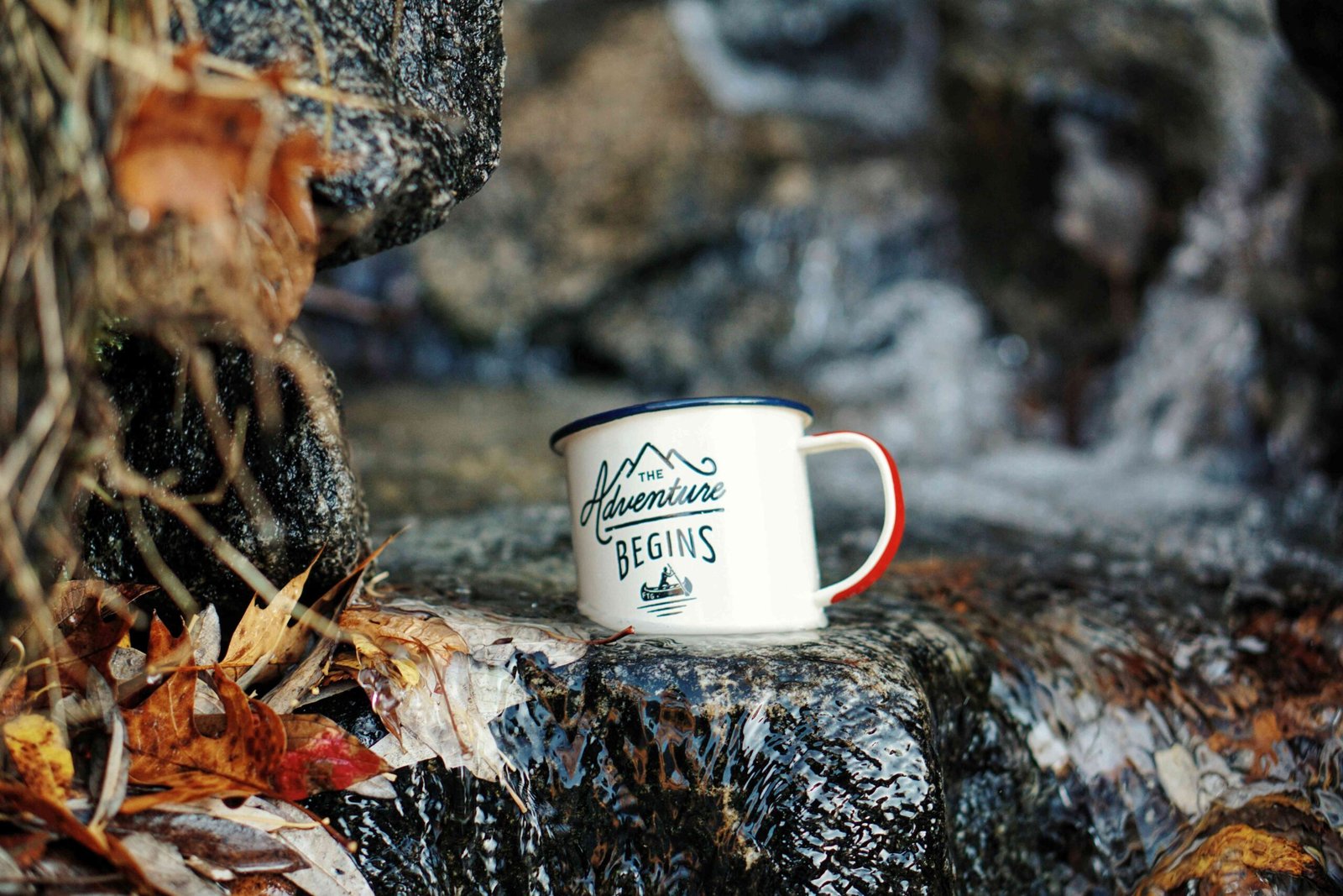 Bouldering vs. Sport Climbing Which One is Right for You