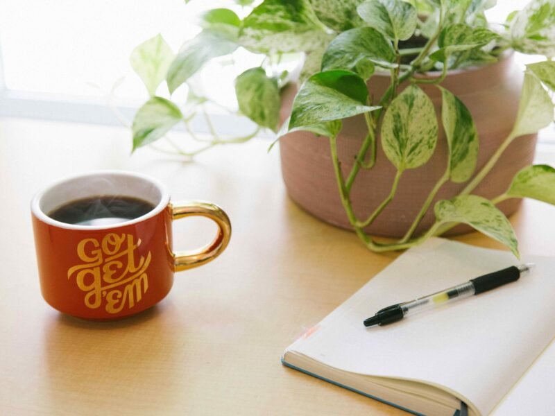 From Premise to Plot - Developing a Story Idea