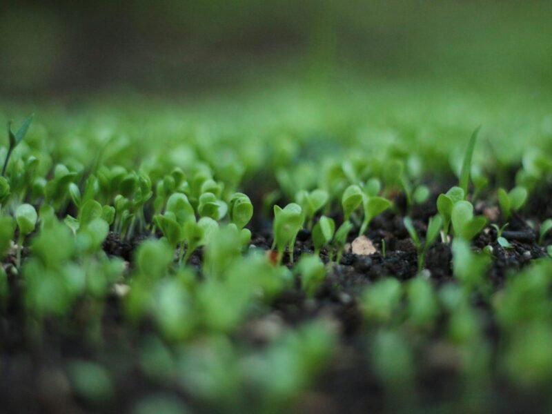 Beating Procrastination and Taking Action