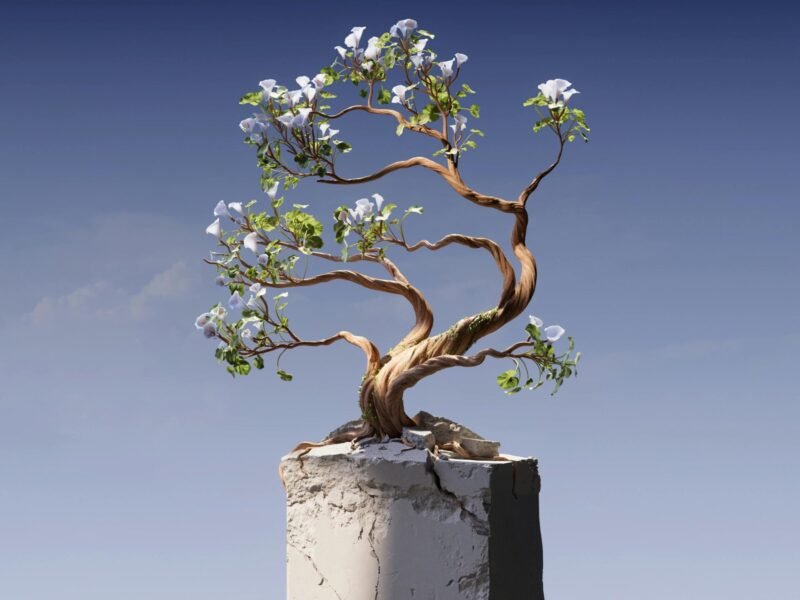 Resilience & Decision-Making Skills Bundle