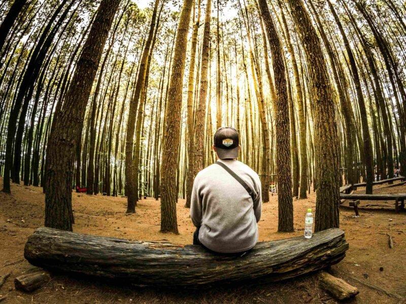 Finding Meaning and Fulfillment in Everyday Life