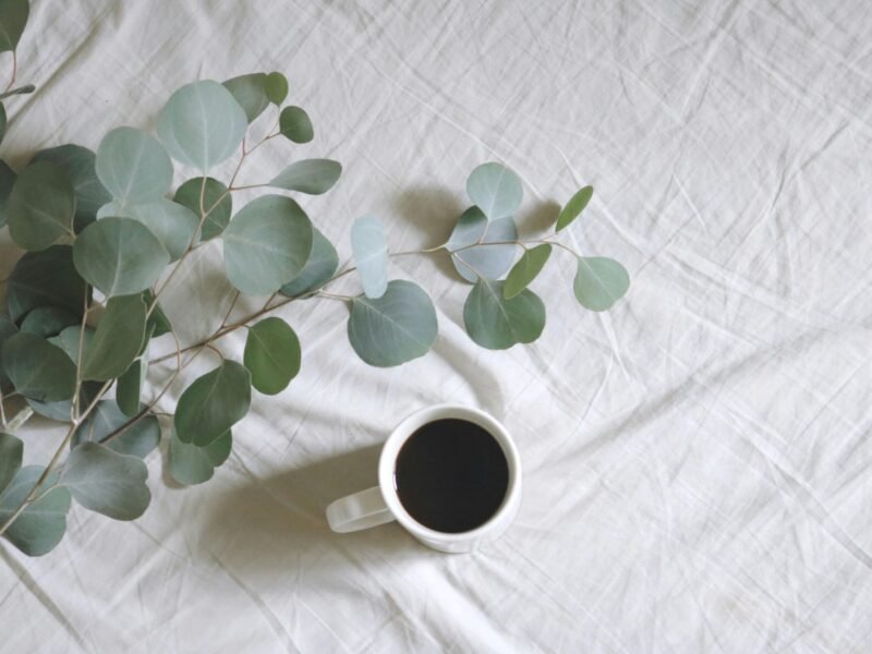 Aligning Your Life with Core Values for Greater Happiness