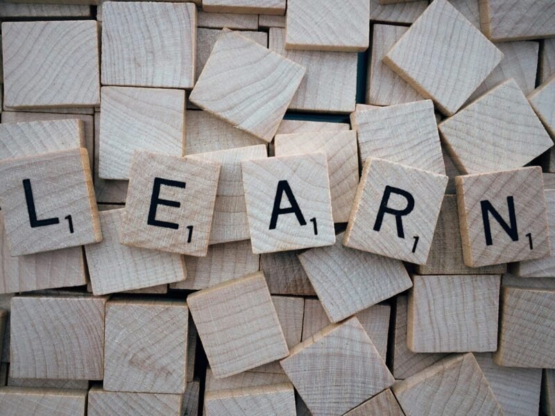 Learning a New Language Efficiently Without Burnout