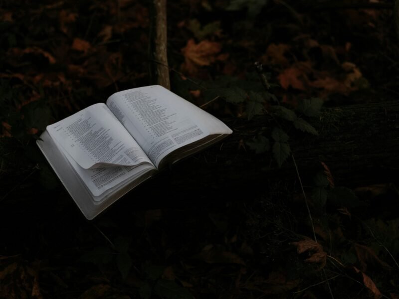 Rewriting a Classic Tale in a New Genre