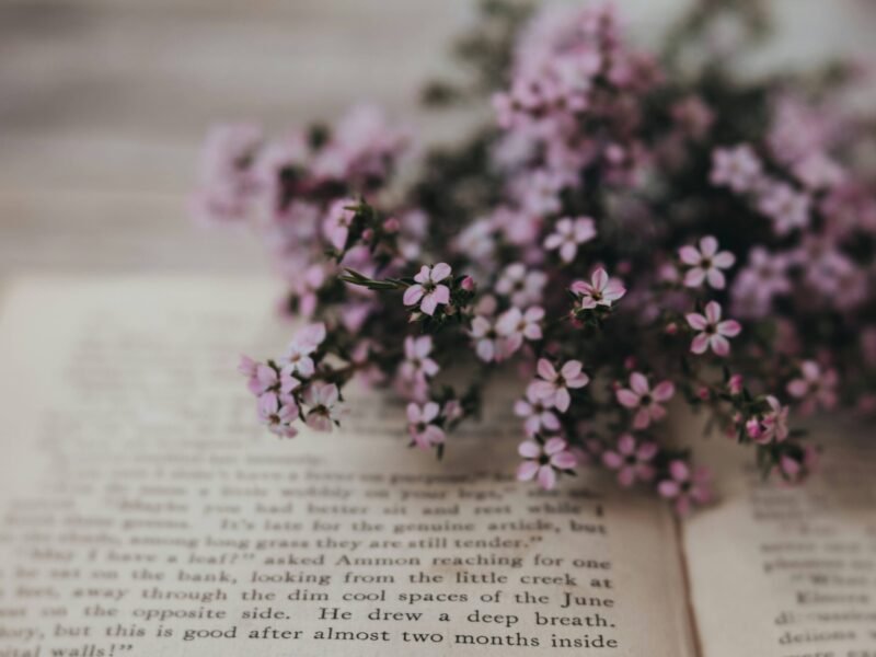 Personal Essays That Resonate