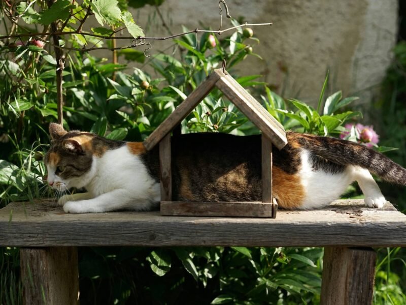 The Art of Goal Setting & Achievement