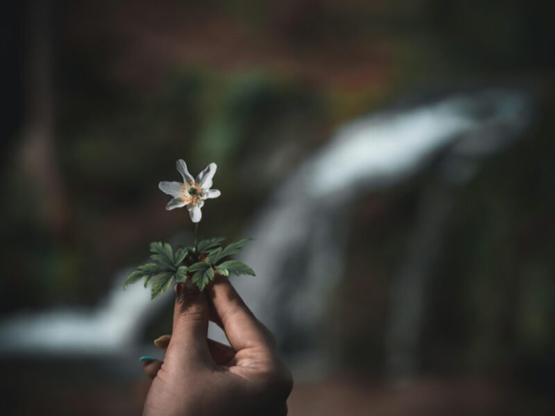 Strengthening Emotional Resilience Through Self-Reflection